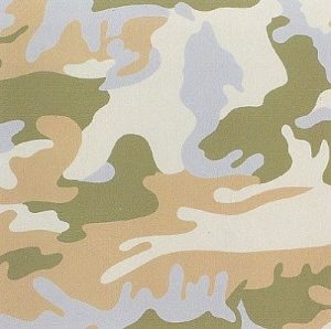 Andy Warhol, Camouflage, 1987 Screenprint on Lenox Museum Board (F&S.II.407)