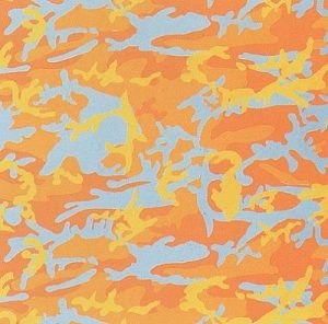 Andy Warhol, Camouflage, 1987 Screenprint on Lenox Museum Board (F&S.II.413)