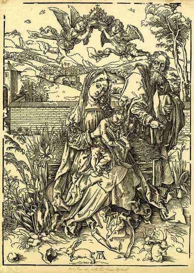 Albrecht Dürer Superstar