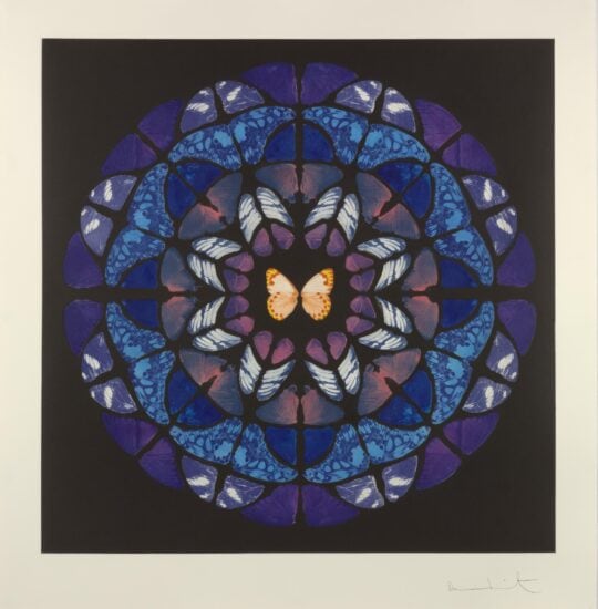 Damien Hirst Etching, Dome, 2009
