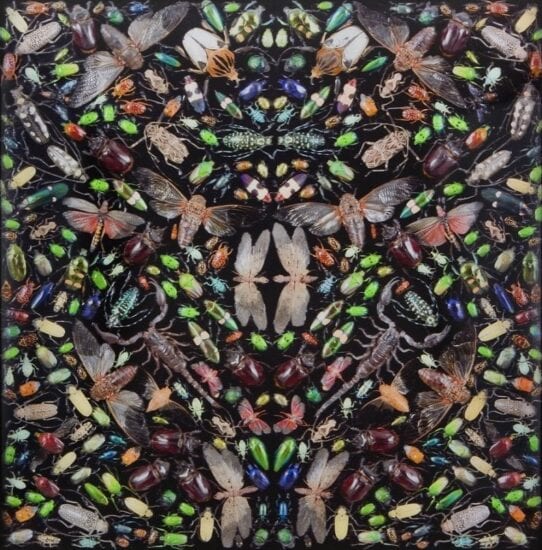 Damien Hirst Lenticular, Inferno, 2016