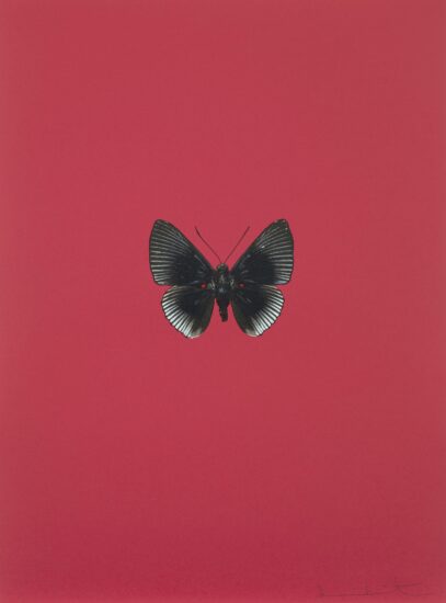 Damien Hirst Polymer-Gravure, It’s a Beautiful Day 5, 2013