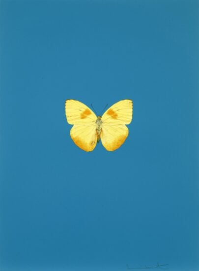 Damien Hirst Polymer-Gravure, It’s a Beautiful Day 6, 2013