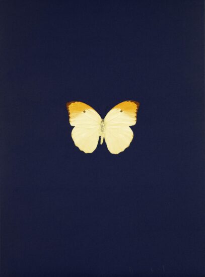 Damien Hirst Polymer-Gravure, New Beginnings 4, 2011