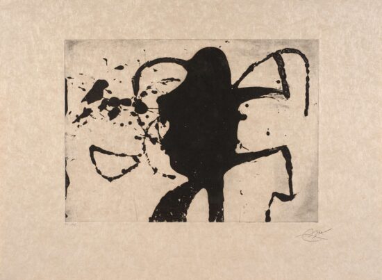 Joan Miró Etching, Ocells de Montroig II (Birds of Montroig II), 1982