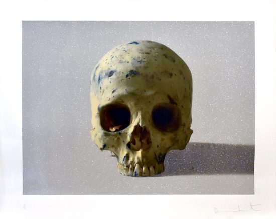 Damien Hirst Silkscreen, Studio Half Skull, Face on, 2009