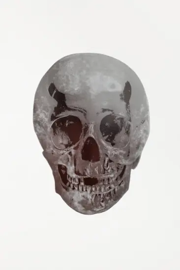 Damien Hirst Foil, The Dead (silver gloss, chocolate), 2009