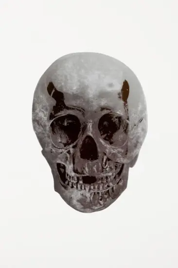 Damien Hirst Foil, The Dead (silver gloss, gunmetal), 2009