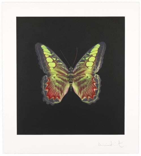 Damien Hirst Etching, The Souls On Jacob’s Ladder 2, 2007