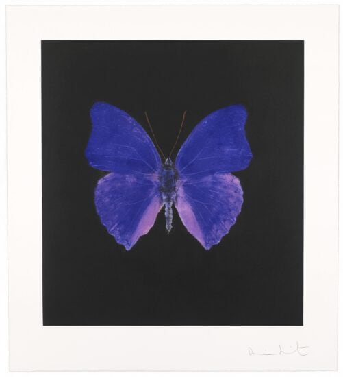 Damien Hirst Etching, The Souls On Jacob’s Ladder 5, 2007