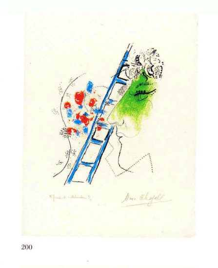 The ladder